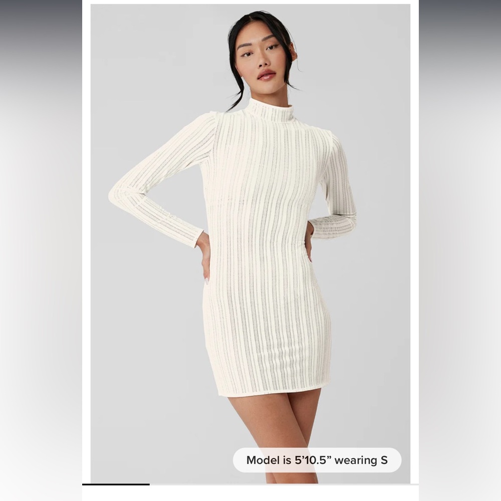 Alo Euphoria Long Sleeve Dress size small